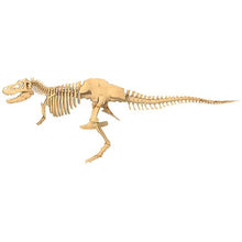 Load image into Gallery viewer, Thames & Kosmos Giant Dinosaur Skeleton Kit
